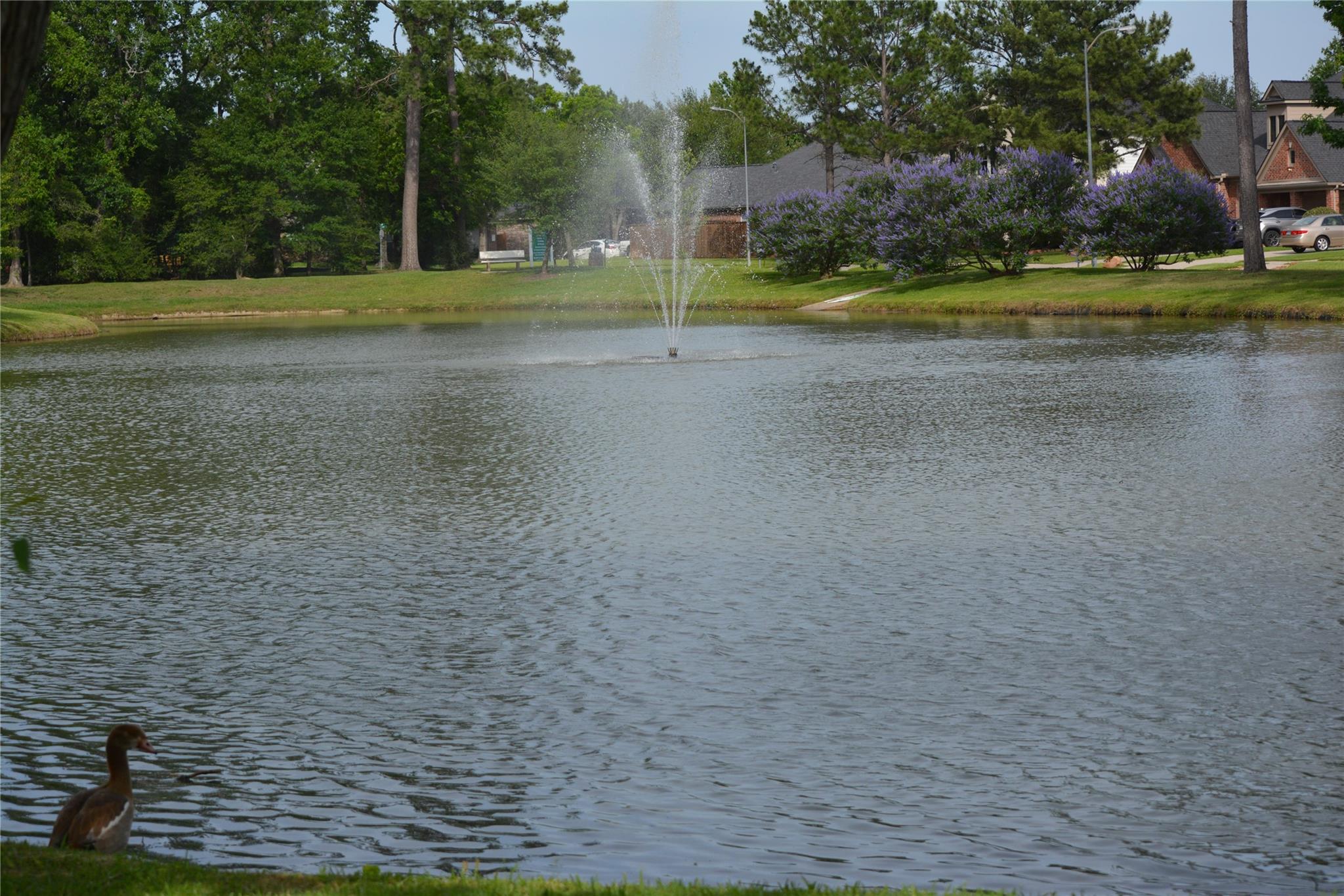 25702 Serene Spring Lane