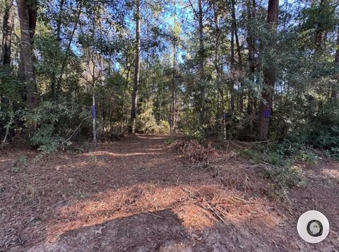 TBD Sandy Creek Road Willis TX 77378