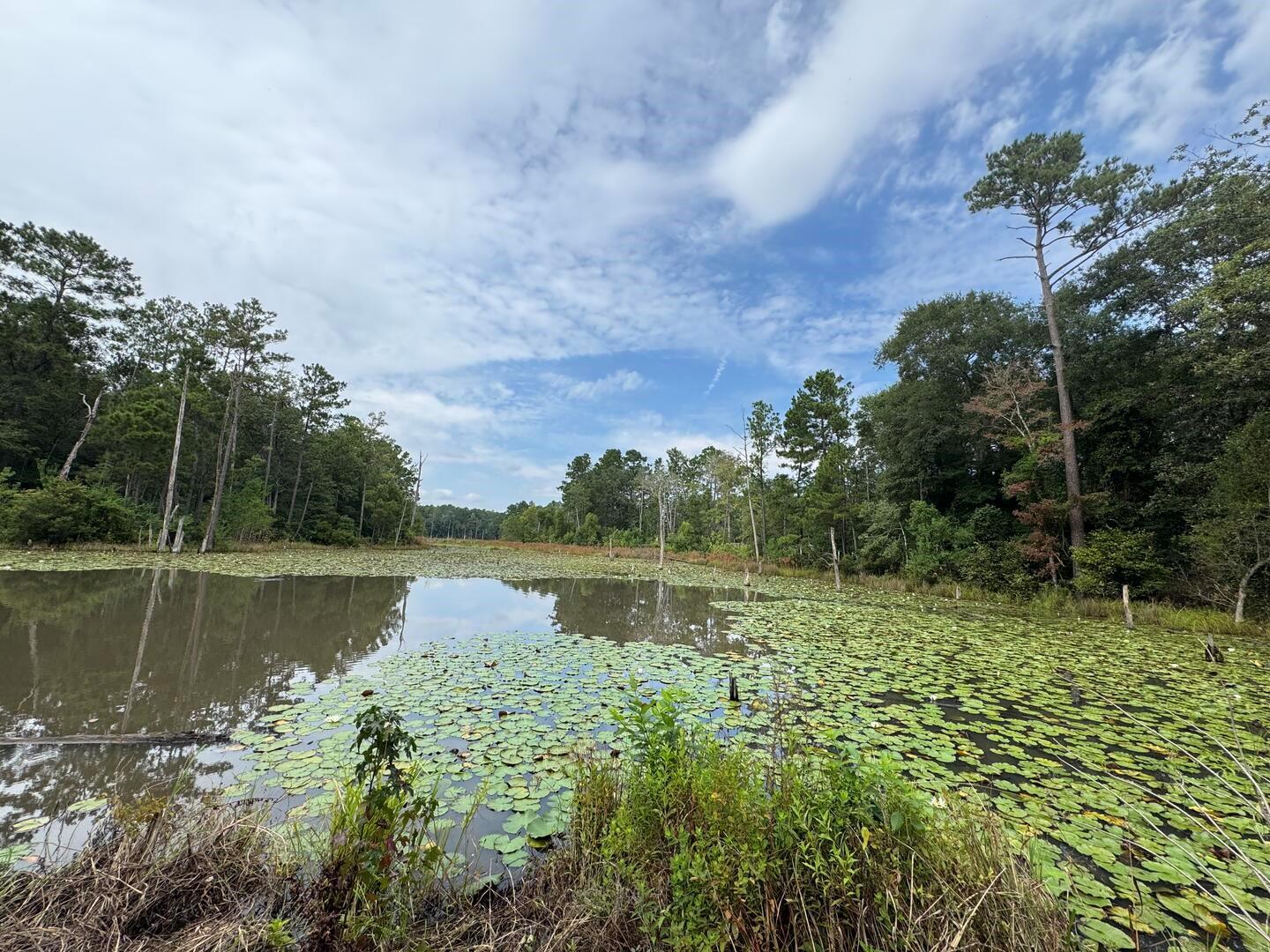 TBD Sandy Creek Road