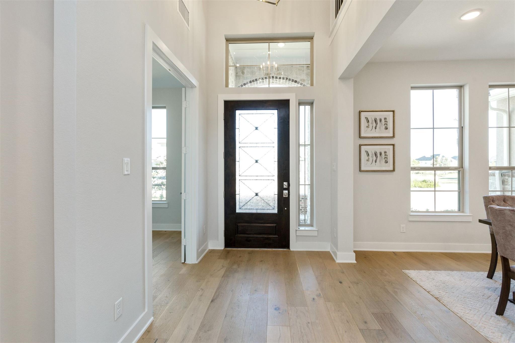 21311 Blue Wood Aster Court