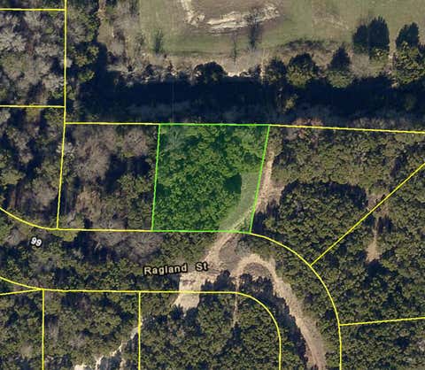 Photo of 69 Ragland Street, Cedar Hill, TX 75104 (MLS # 94165130)