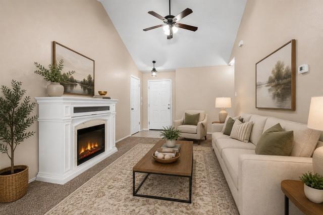 2317 Shady Birch Drive