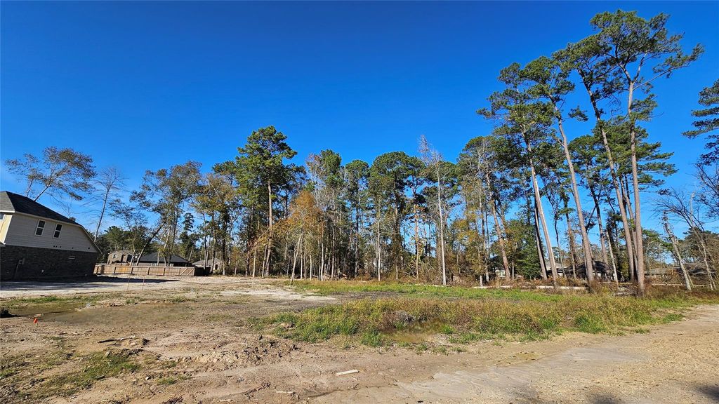 Photo of 818 Scribe Street, New Caney, TX 77357 (MLS # 5299059)