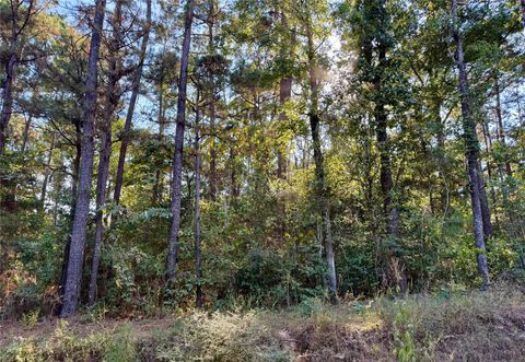 Photo of TBD Ole Long Pull Rd Road, Livingston, TX 77351 (MLS # 11535865)