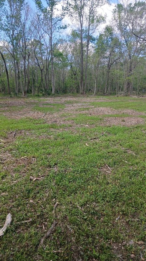 Vacant Land For Sale - 248 County Road 185<br/> Liberty, TX 77575