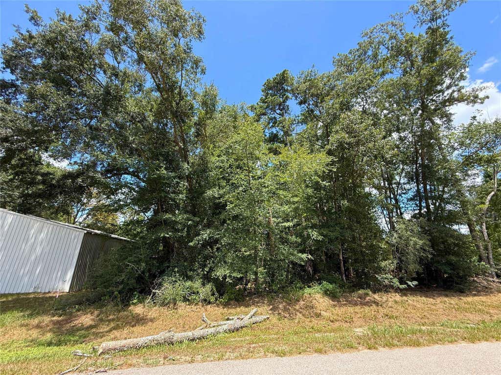 Photo of 0 Colesseum Court S, Roman Forest, TX 77357 (MLS # 8748049)