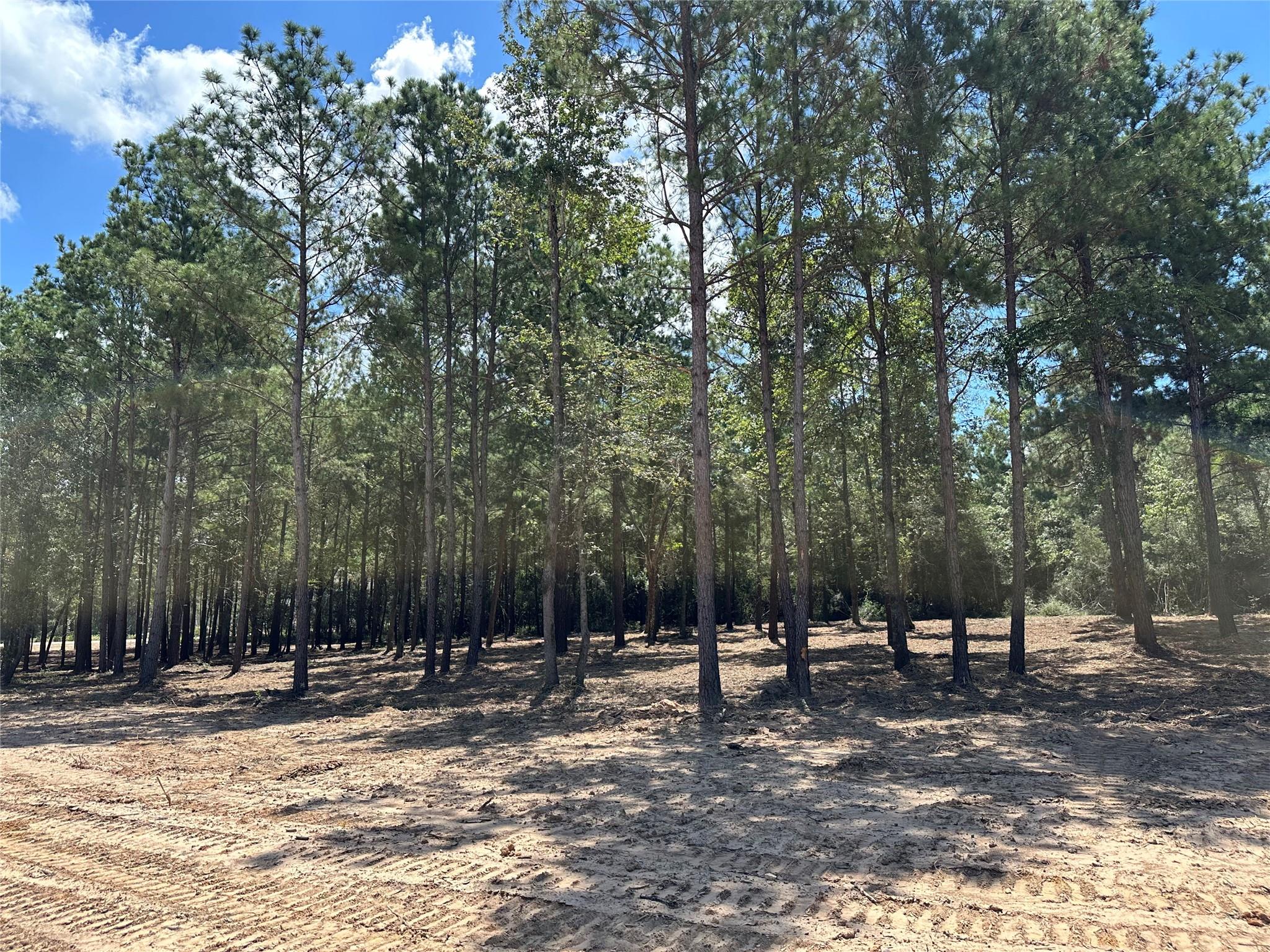 4609 High Meadow West Court