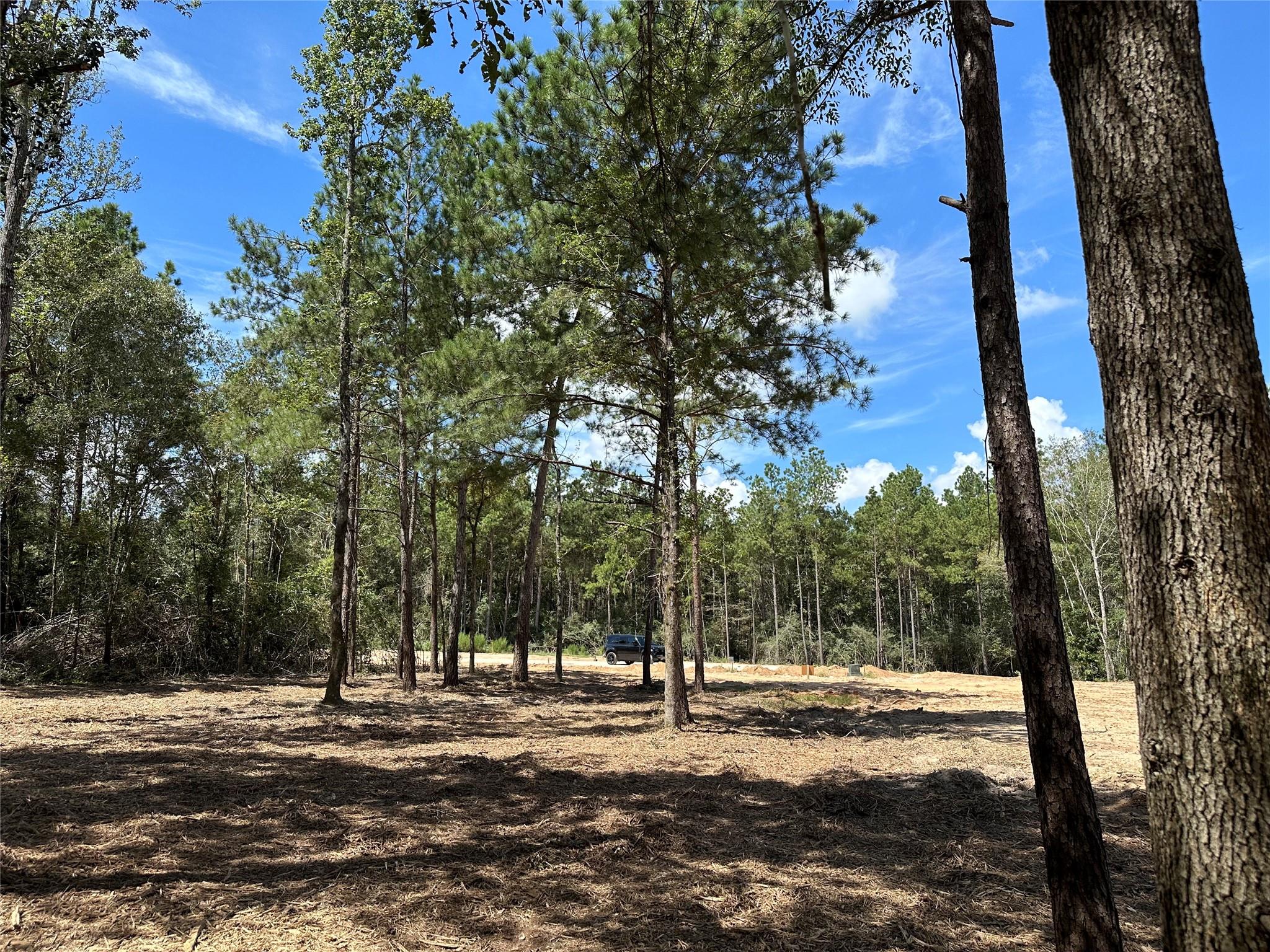 4609 High Meadow West Court