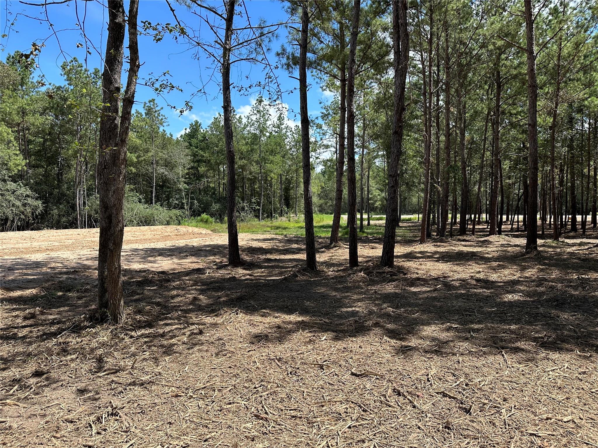 4609 High Meadow West Court