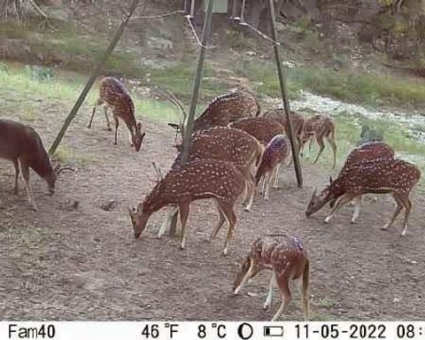 Vacant Land For Sale - 55 ACRES Fritz Rd<br/> Menard County, London, TX 76854