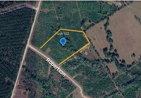 Photo of 102 Robertson Road, Lovelady, TX 75851 (MLS # 3375261)