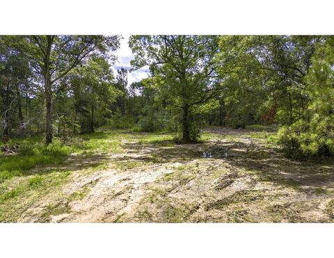 Vacant Land For Sale - TBD Lot 003 Holland Road<br/> Moscow, TX 75960