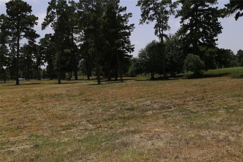 Photo of 513 E Hufsmith St Road, Tomball, TX 77375 (MLS # 92932556)