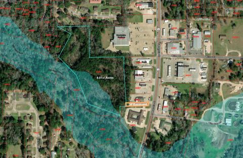 Vacant Land For Sale - TBD South Magnolia Street<br/> Tyler County, Woodville, TX 75979