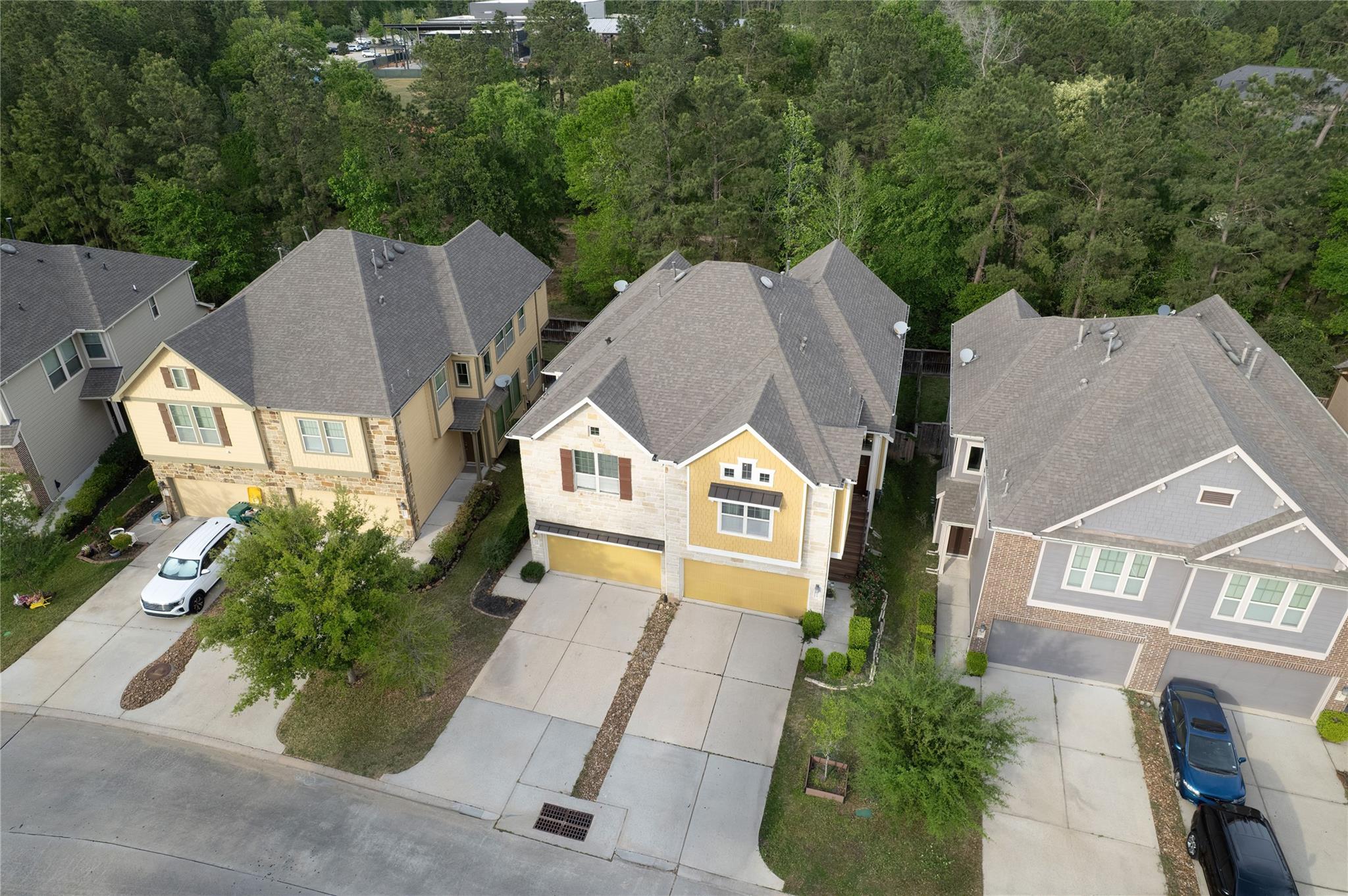 228 Cheswood Forest Place