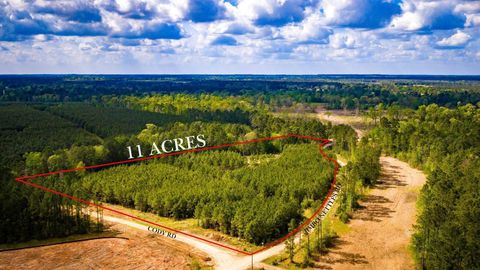Vacant Land For Sale - Jimbo Nettles Road<br/> Polk County, Livingston, TX 77351