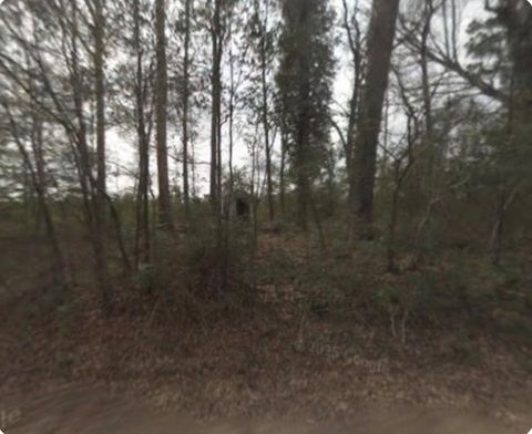 346 E Slumberlane Drive Livingston TX 77351