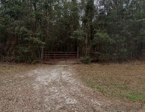 Photo of 1810 County Road 4375, Spurger, TX 77660 (MLS # 15795803)