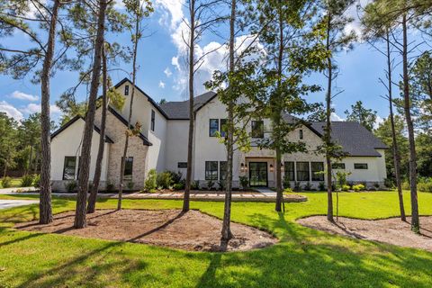 7725 Dog Wood Acres Drive Montgomery TX 77316