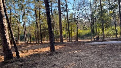 Photo of 0 Monroe Drive, Livingston, TX 77351 (MLS # 69918839)
