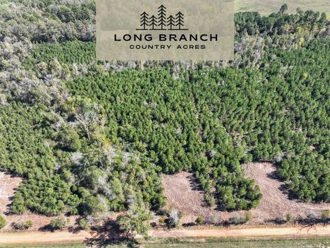 Mobile Home For Sale - 6 County Road 3121<br/> Long Branch, TX 75669