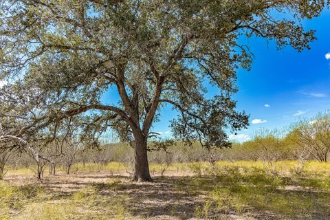 Vacant Land For Sale - 11341 Fm-340<br/> Moulton, TX 77975