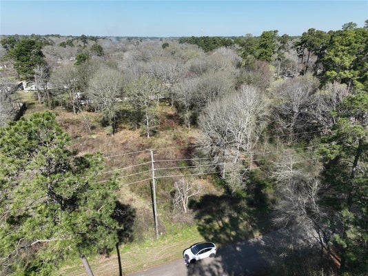 48 ROLLINGWOOD STREET, PINEHURST, TX 77362 - Image 09f2fda78103cbe2dc66b8b57aa01721/2966385286
