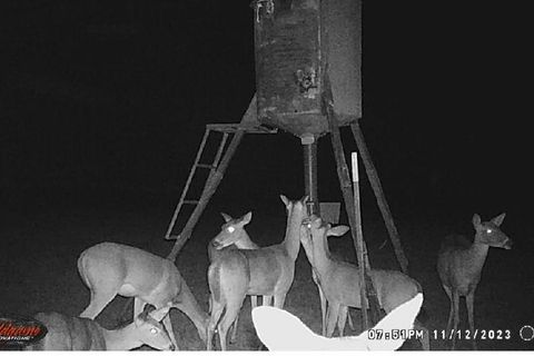 Vacant Land For Sale - 1306 County Road 3455a<br/> Lovelady, TX 75851