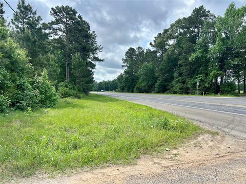 Photo of 146 State Highway 146 S, Livingston, TX 77351 (MLS # 13167708)