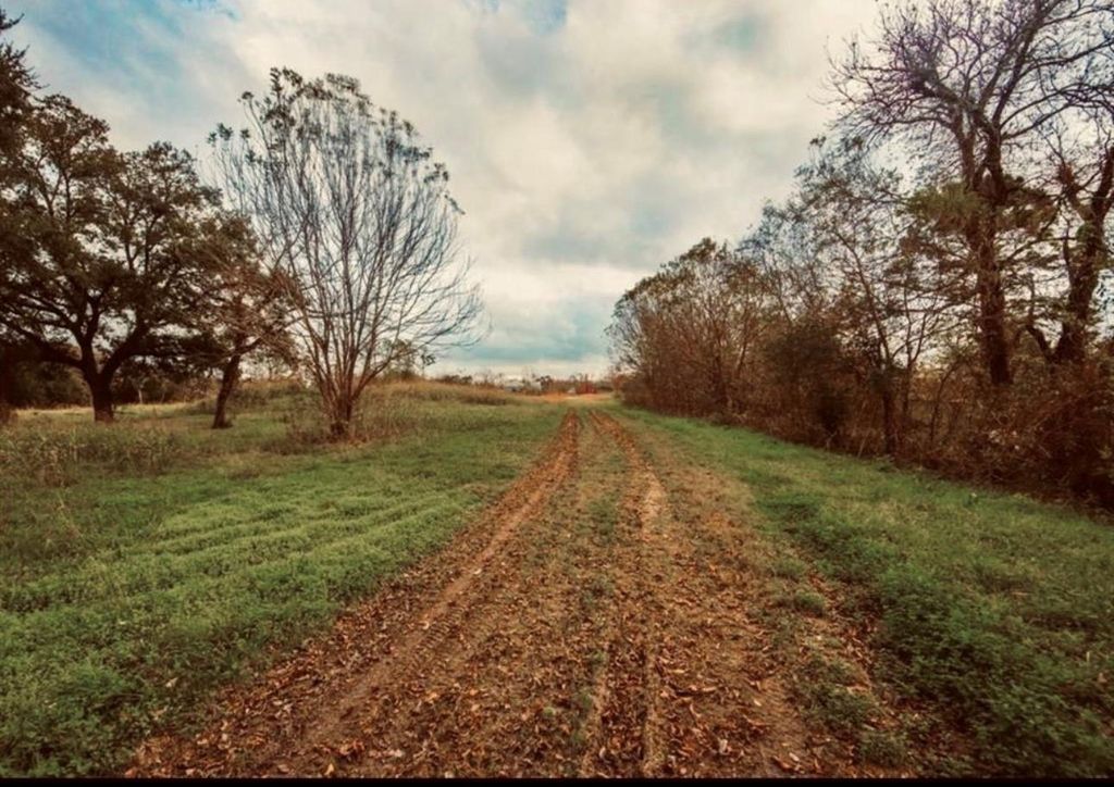 Photo of 12215 Foxton Road, Houston, TX 77048 (MLS # 7684188)