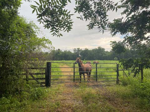 Photo of 0 Texaco Road, Thompson, TX 77481 (MLS # 42584444)