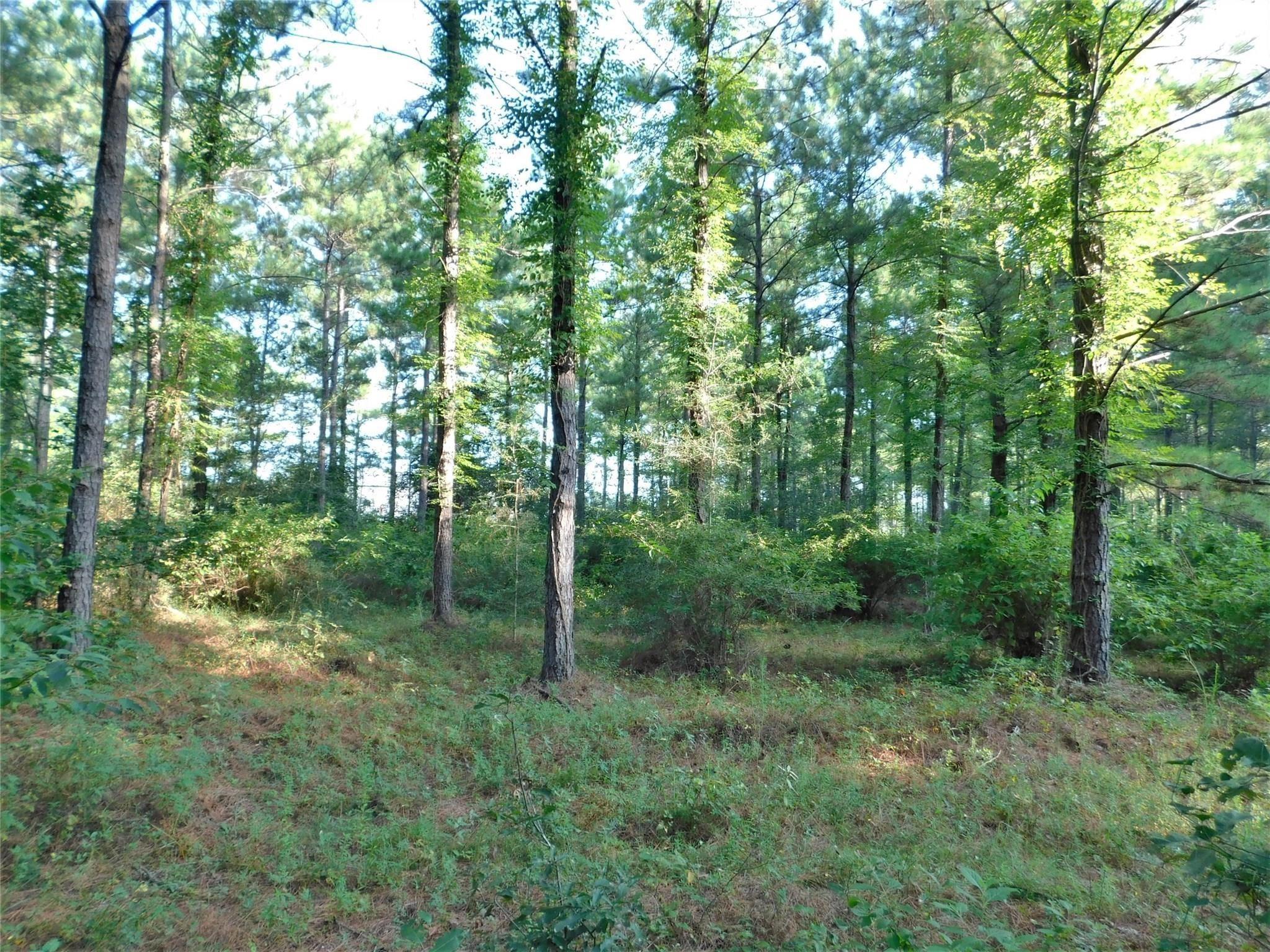 11914 Browder Traylor Road