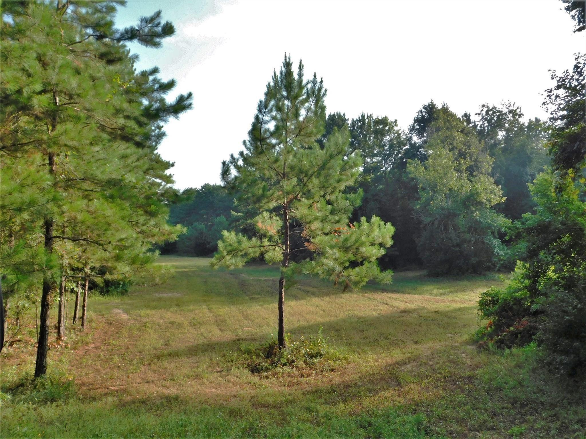 11914 Browder Traylor Road