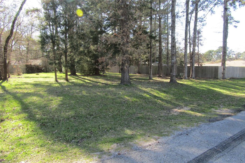 Photo of 0 Shady Lane, Livingston, TX 77351 (MLS # 24633755)