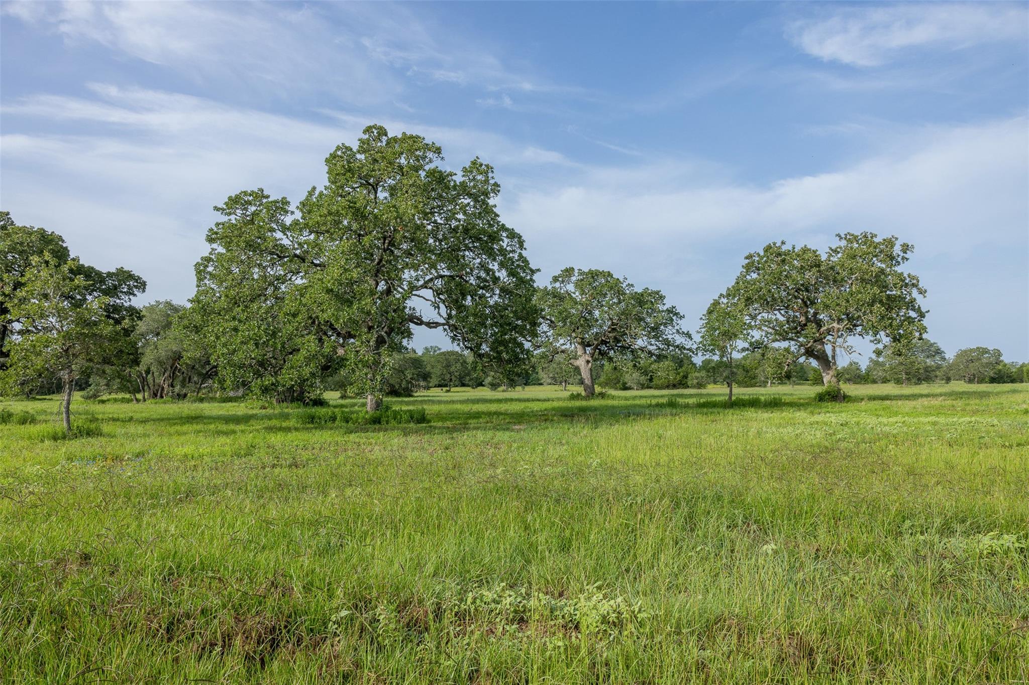 TBD 2839 Schoenst Road