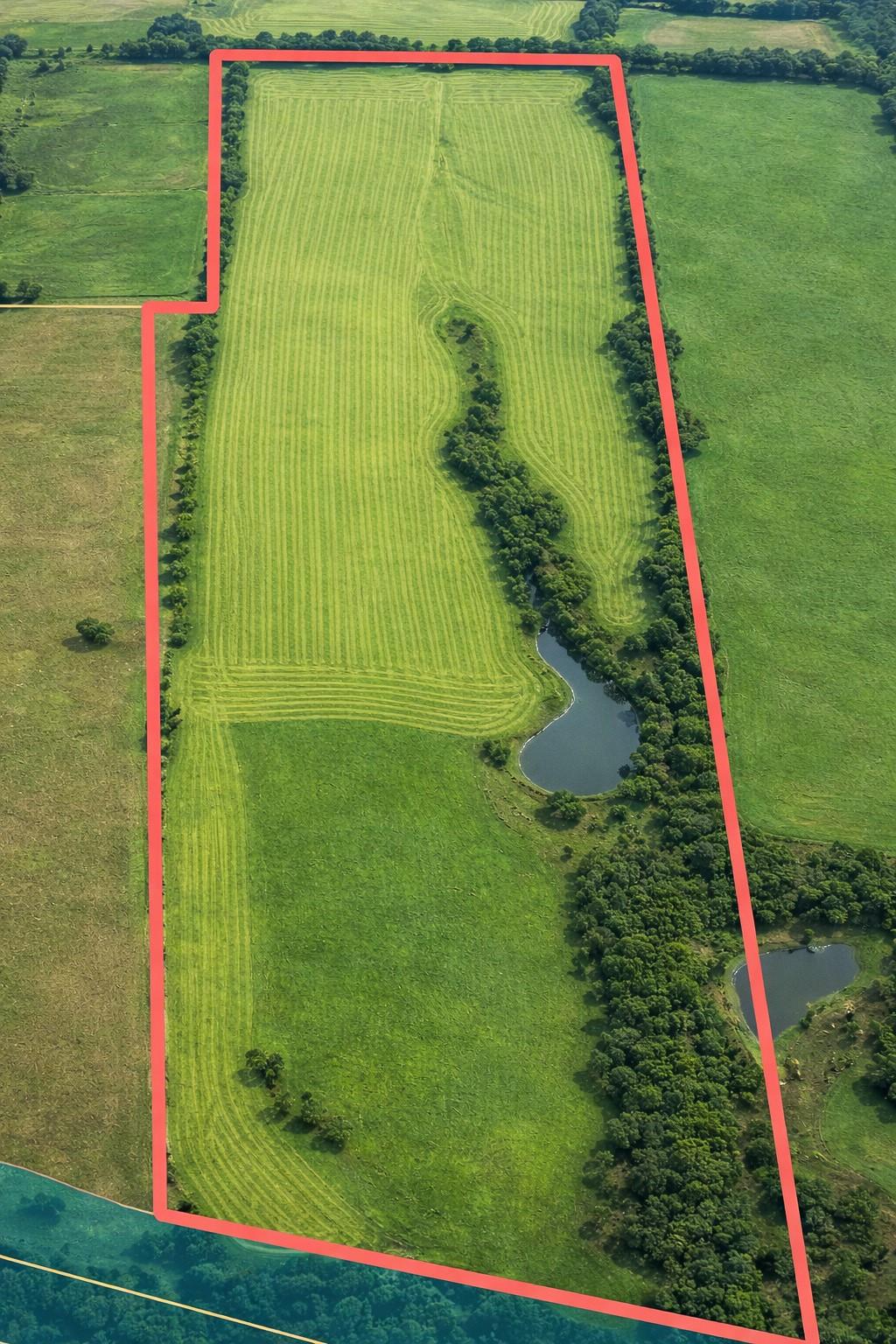 TBD (+/- 38.77 Acres) Andreski Road