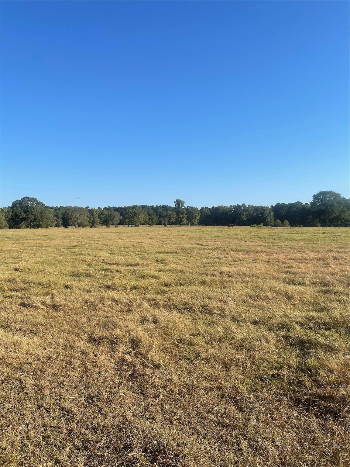 20386 Fm 2854