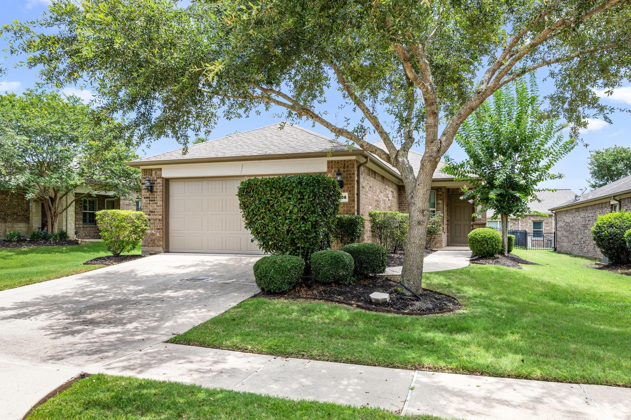 1206 Cleistes Lane