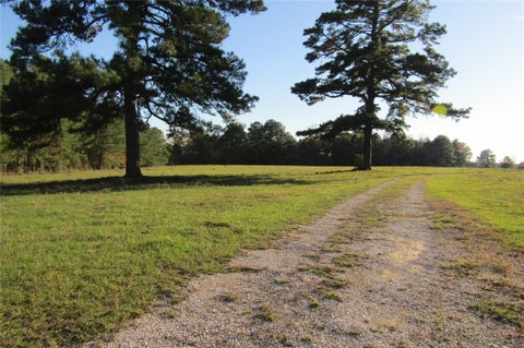 Vacant Land For Sale - TBD Hwy 190 East<br/> Walker County, Huntsville, TX 77340