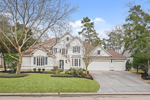 18 Elfen Way The Woodlands TX 77382