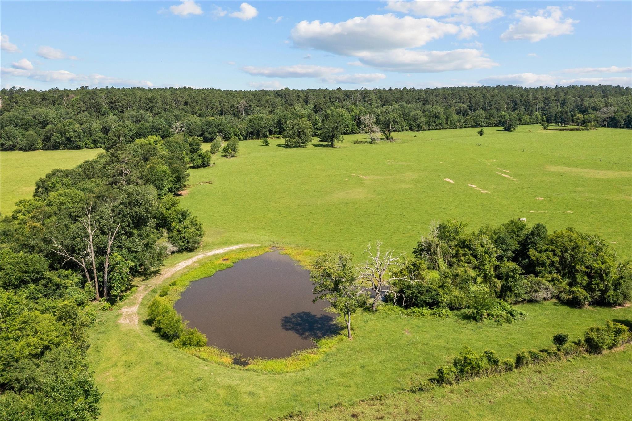 2679 County Road 4140