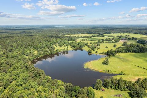 Vacant Land For Sale - 2679 County Road 4140<br/> Houston County, Crockett, TX 75835