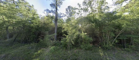 Photo of 109 County Road 2177, Cleveland, TX 77327 (MLS # 54635736)