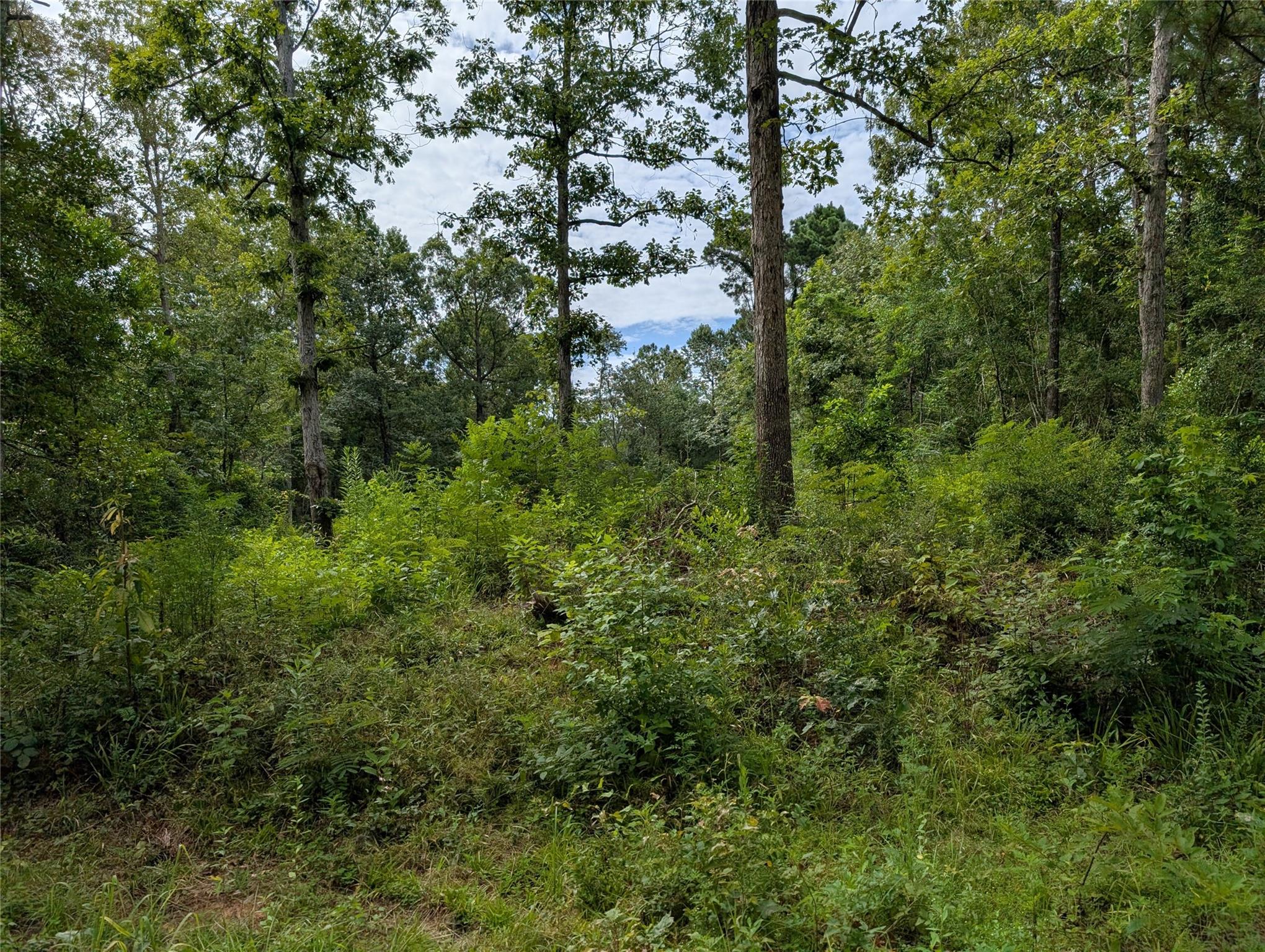 161 Ludies Drive