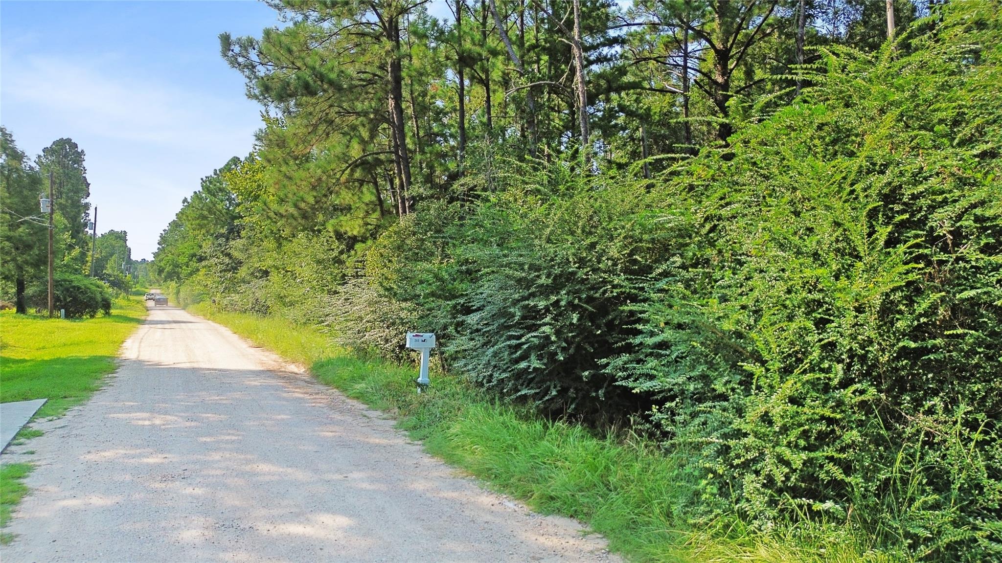 TBD Alan Road