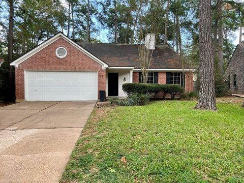 Photo of 75 E Village Knoll Circle, The Woodlands, TX 77381 (MLS # 89274370)