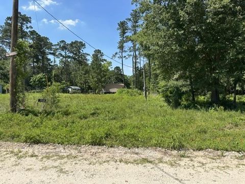Photo of 7743 Redbud Lane, Plantersville, TX 77363 (MLS # 22671753)