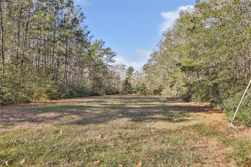 Photo of 21879 Roberts Lane, New Caney, TX 77357 (MLS # 66892308)