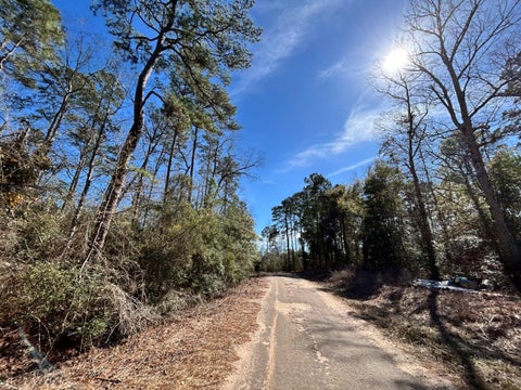Vacant Land For Sale - LOT 35 N Friar Tuck Drive<br/> Ivanhoe, TX 75979