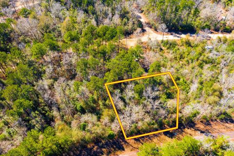 Vacant Land For Sale - LOT 35 N Friar Tuck Drive<br/> Tyler County, Ivanhoe, TX 75979